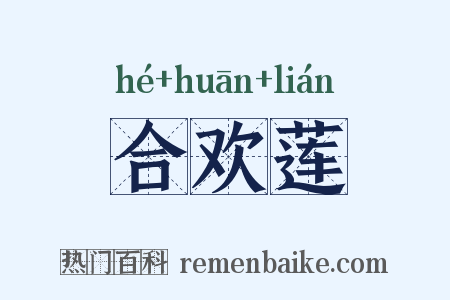 合欢莲是什么意思的图片